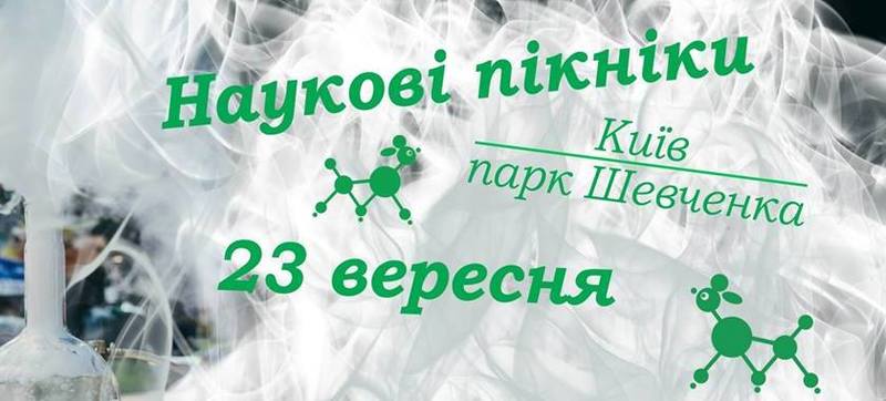 Картинка 3